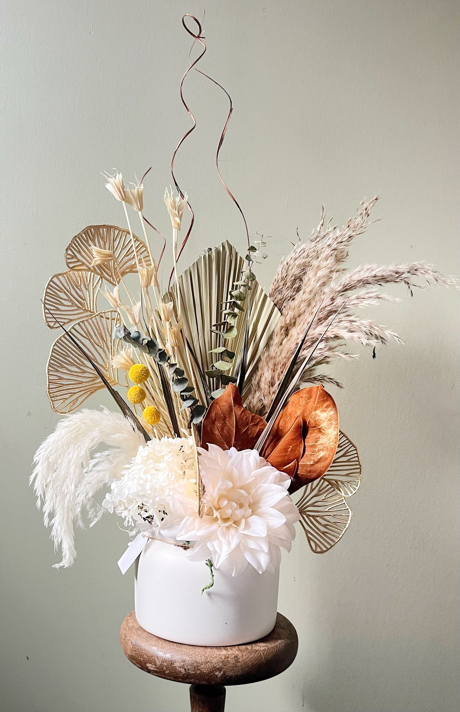 Sculptural Botanicals