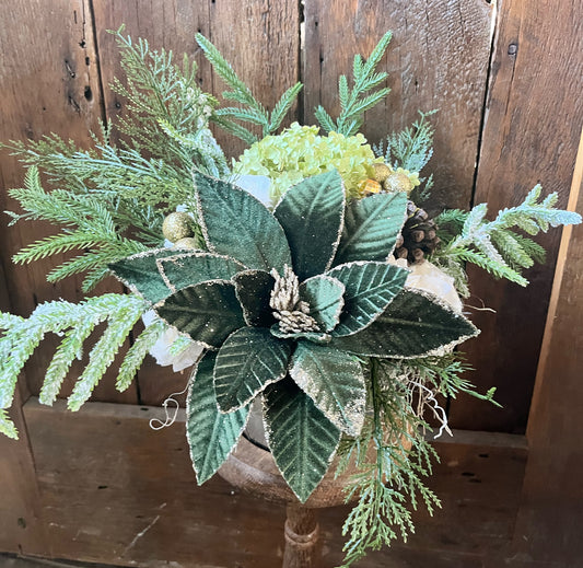 Evergreen Velvet| Winter Botanical
