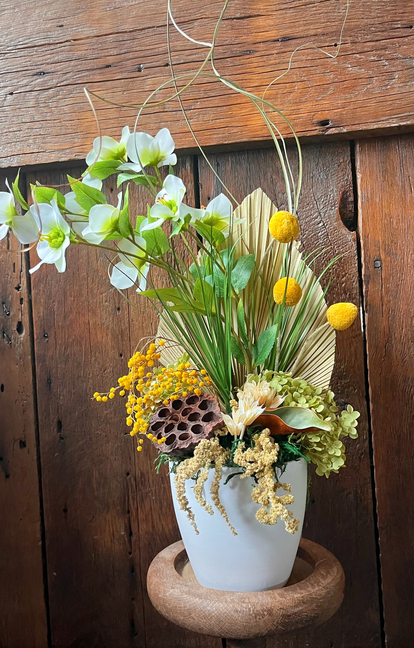 Golden Solstice Garden| Sculptural Botanical