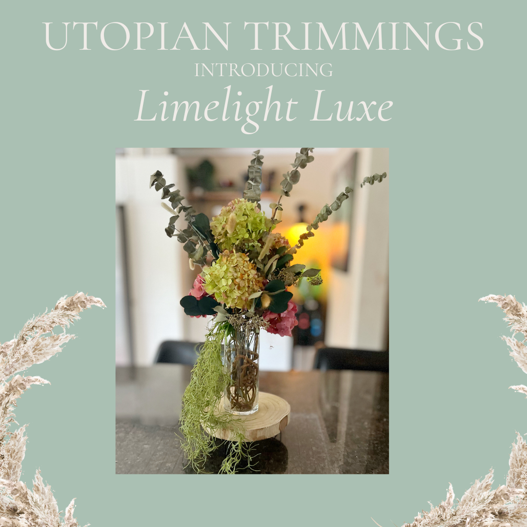 Limelight Luxe| Dried Botanicals